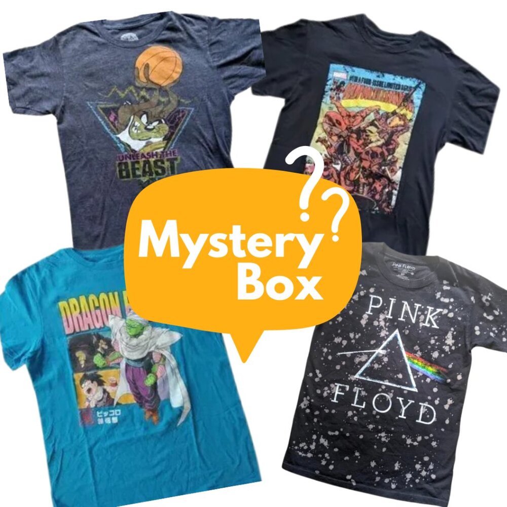 Men’s Medium Graphic Tee Mystery Pack – 5 Shirts – Pop Culture Favorites